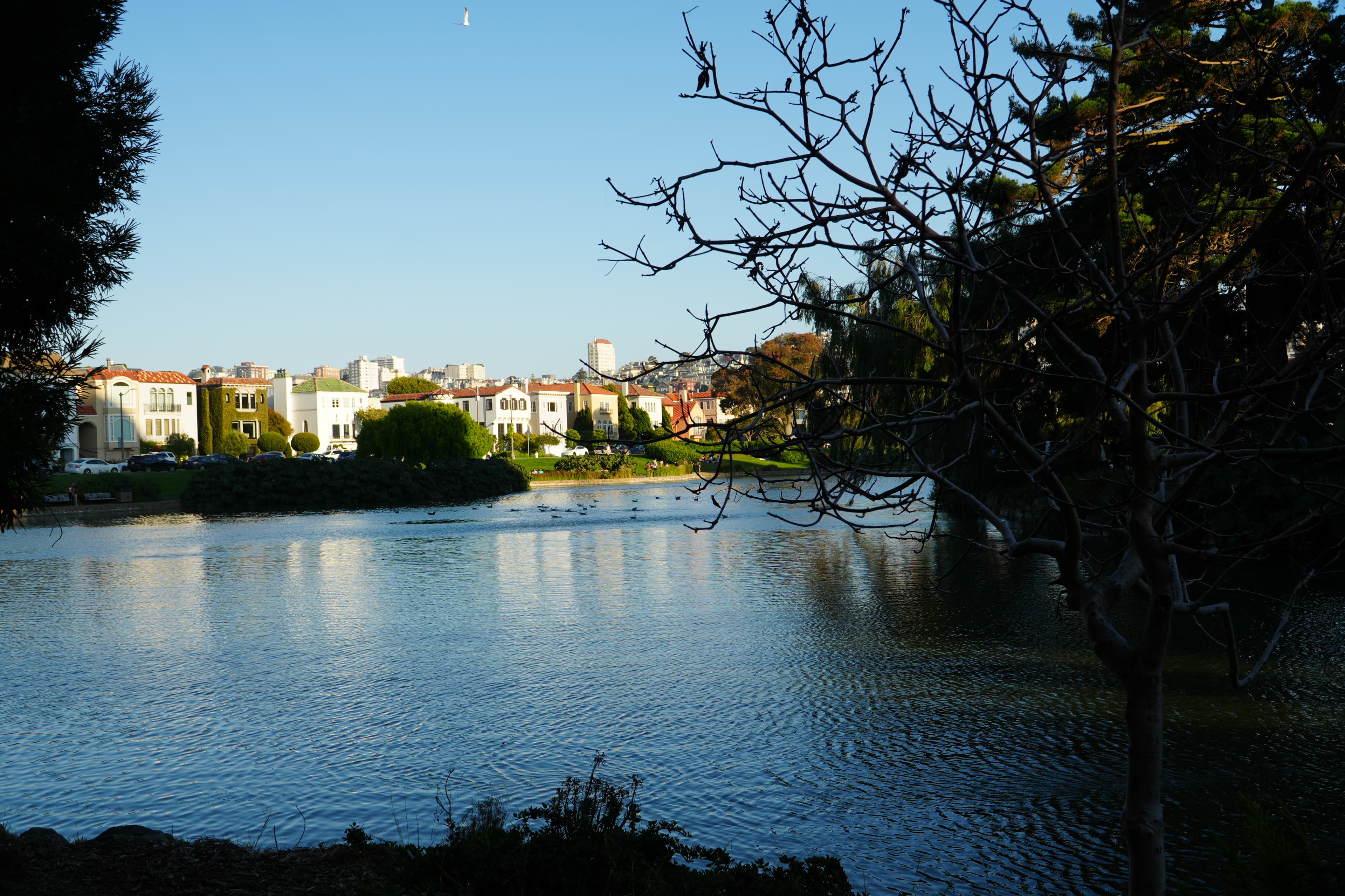 Somewhere near to the Palace of Fine Arts, San Francisco, California