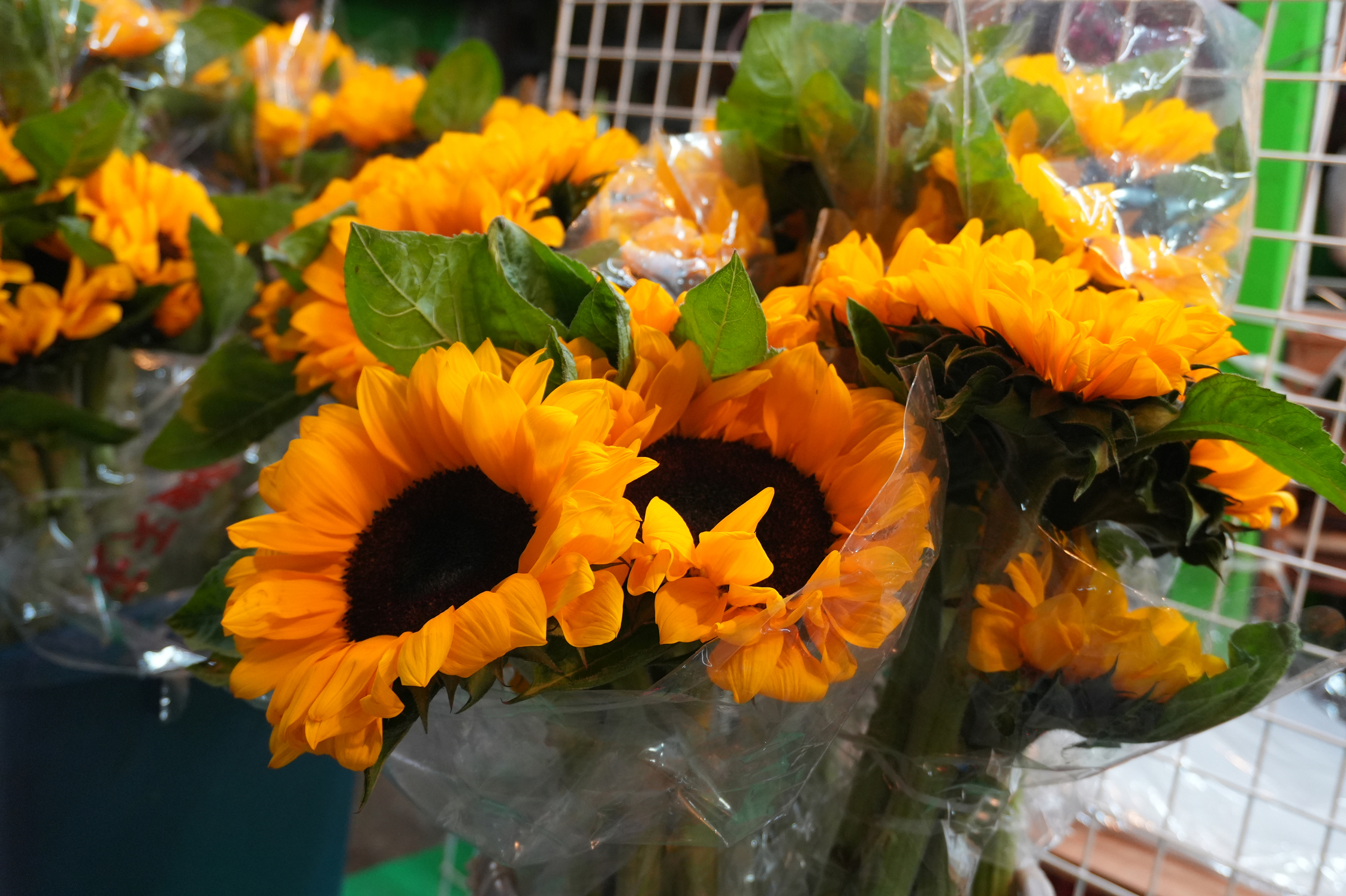 Sunflowers at the market