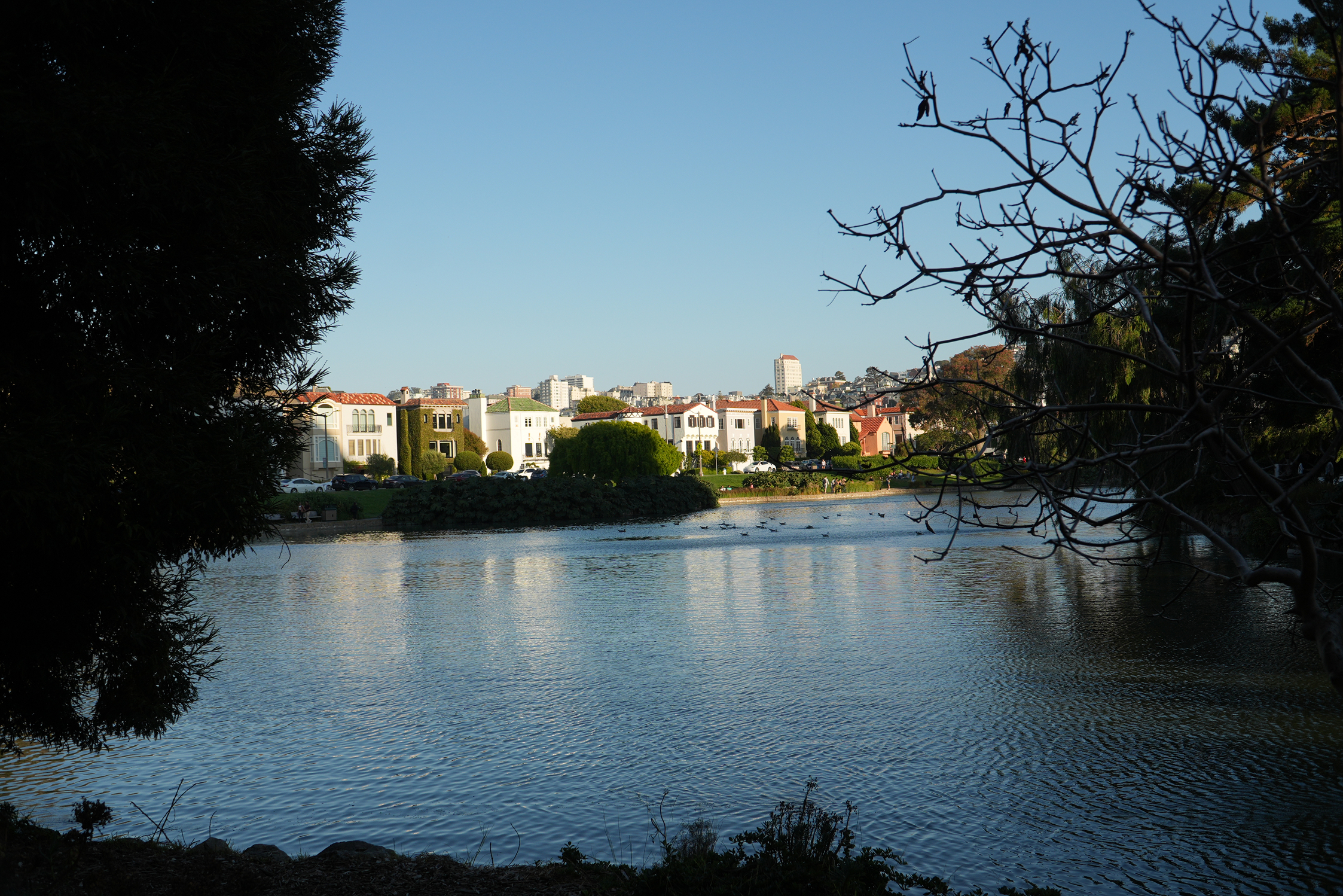 Houses across the lake